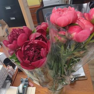 Meet your Posher, Grace